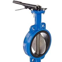 Butterfly Valve Manufacturer in India