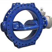 Double Eccentric Butterfly Valve Manufacturer in India