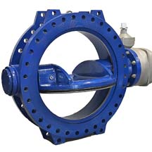 Eccentric Butterfly Valve Manufacturer in India