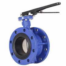 Flanged Butterfly Valve Manufacturer in India