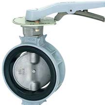 Flexible Butterfly Valve Manufacturer in India