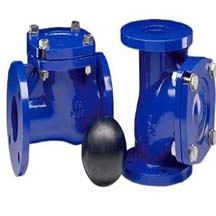 Ball Check Valve Manufacturer in India