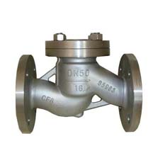 Lift Check Valve Manufacturer in India