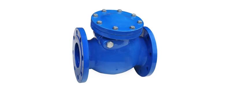 Stainless Steel Non Return Valves Manufacturers In India