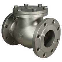 Swing Check Valve Manufacturer in India