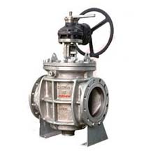 Lift plug Valve Manufacturer in India