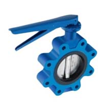 Lug Type Pneumatic Butterfly Valve Manufacturer in India