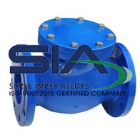 Stainless Steel Non Return Valves Manufacturer in India