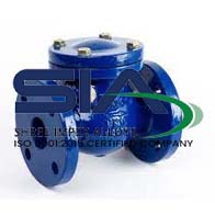 Stainless Steel Non Return Valves Supplier in India